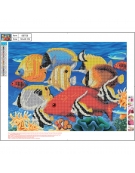 Diamond Mosaic Kit 30x40cm Exotic fish