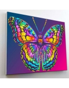 Diamond Painting Kit on Canvas 30x40cm Butterfly