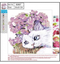 Diamond Painting Kit 20x20cm Cat