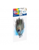 Feathers 14-16cm 3pcs - Peacock