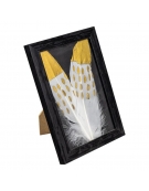 Feathers 13-19cm 8pcs - White/Gold