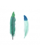 Feathers 10-15cm 10pcs - Colored with Glitter