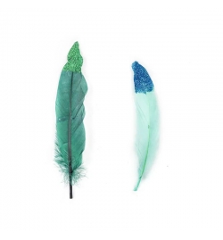 Feathers 10-15cm 10pcs - Colored with Glitter