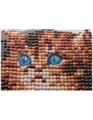 Diamond Mosaic Kit 30x40cm Cat