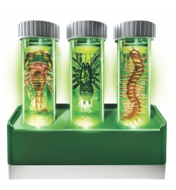 Kidzlabs Glow Critter Lab Set